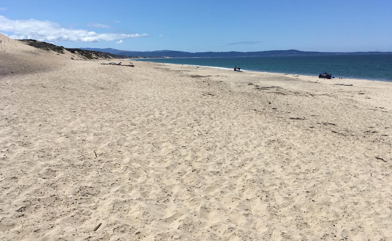 Marina Beach'in fotoğrafı parlak ince kum yüzey ile