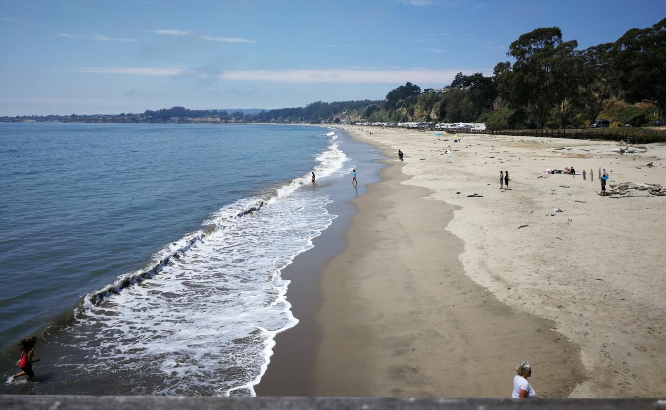 Seacliff Beach'in fotoğrafı parlak kum yüzey ile