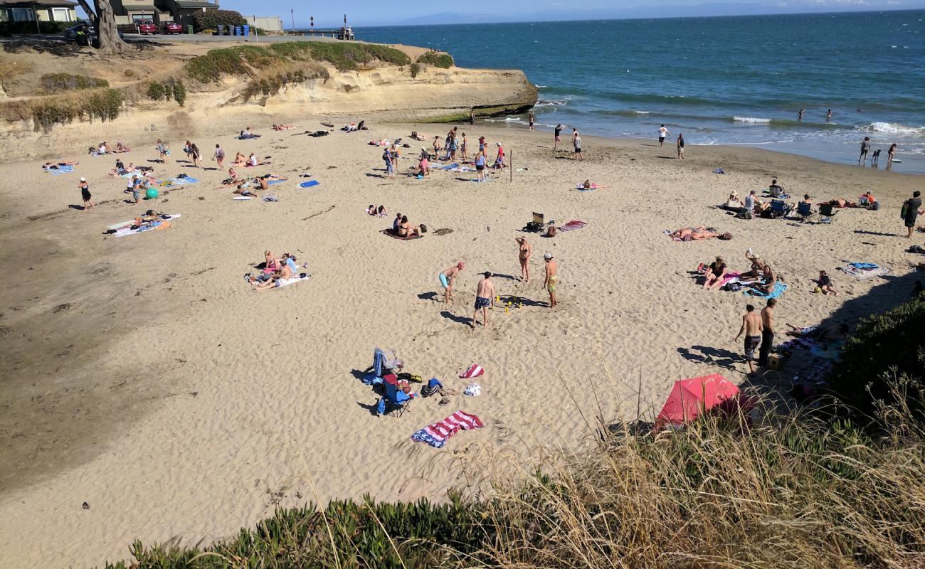 Sunny Cove Beach'in fotoğrafı parlak ince kum yüzey ile