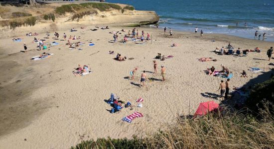 Sunny Cove Beach