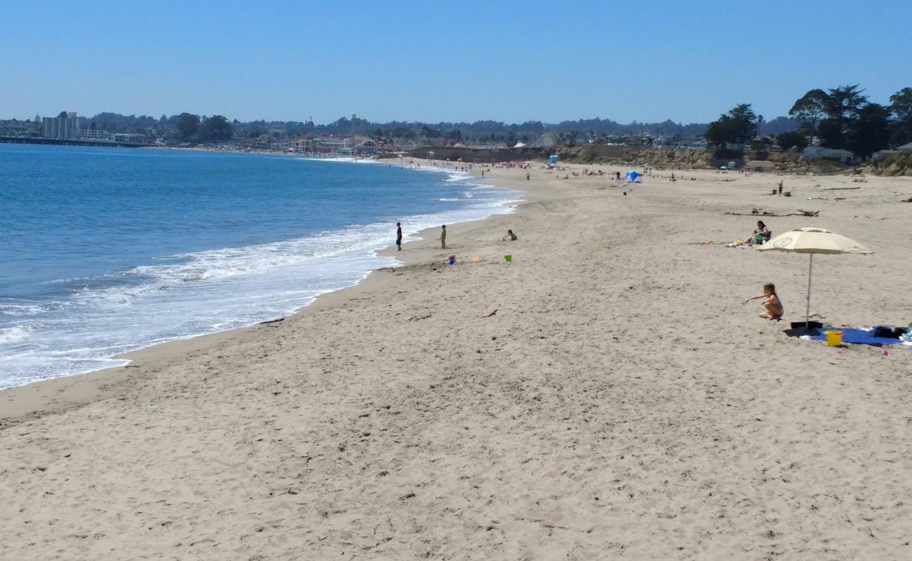 Seabright Beach'in fotoğrafı parlak kum yüzey ile