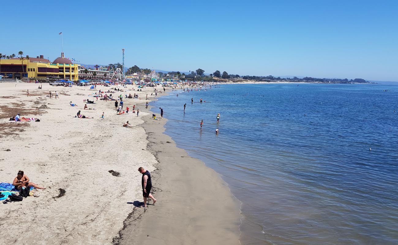 Santa Cruz Beach'in fotoğrafı parlak ince kum yüzey ile