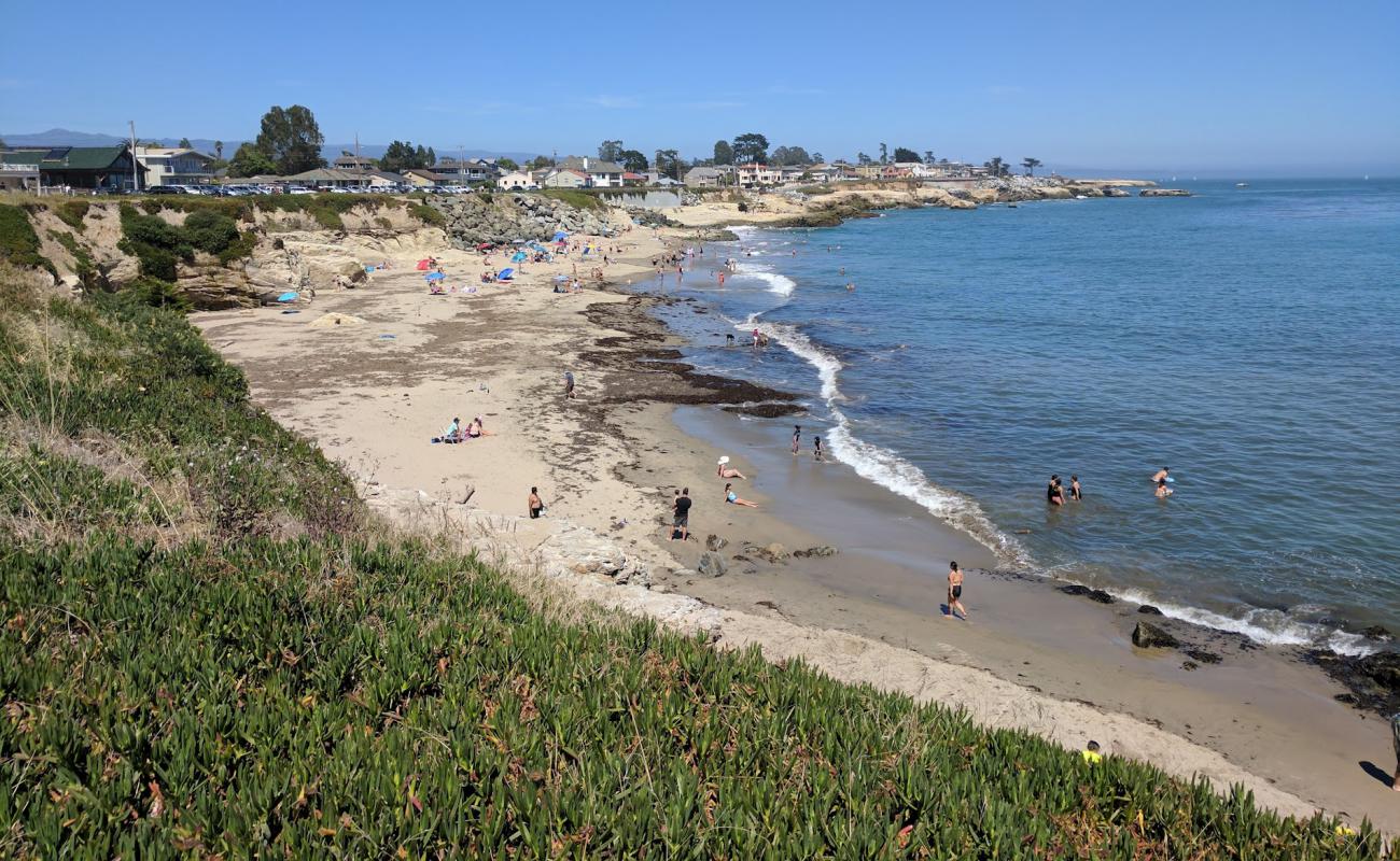 Mitchell's Cove Beach'in fotoğrafı parlak kum yüzey ile