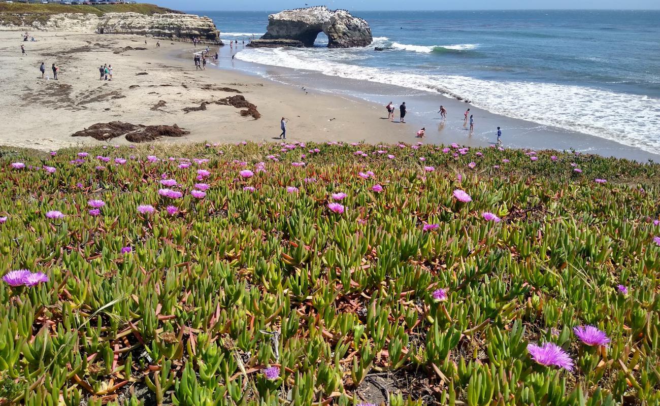 Natural Bridges Beach'in fotoğrafı açık bej kum yüzey ile