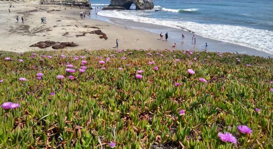 Natural Bridges Beach