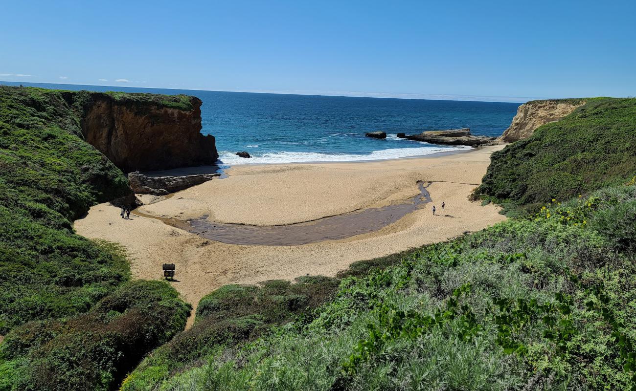 Laguna Creek Beach'in fotoğrafı parlak ince kum yüzey ile