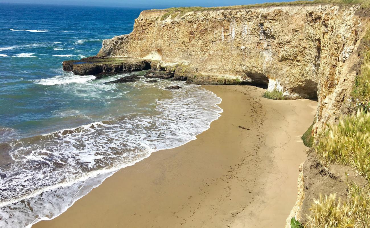 Davenport Beach'in fotoğrafı hafif ince çakıl taş yüzey ile