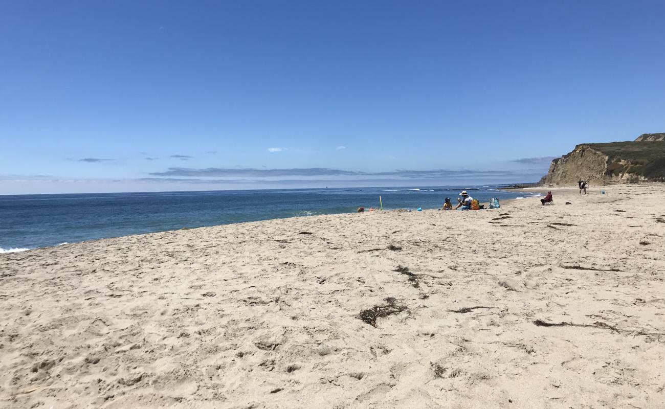 Scott Creek Beach'in fotoğrafı parlak kum yüzey ile