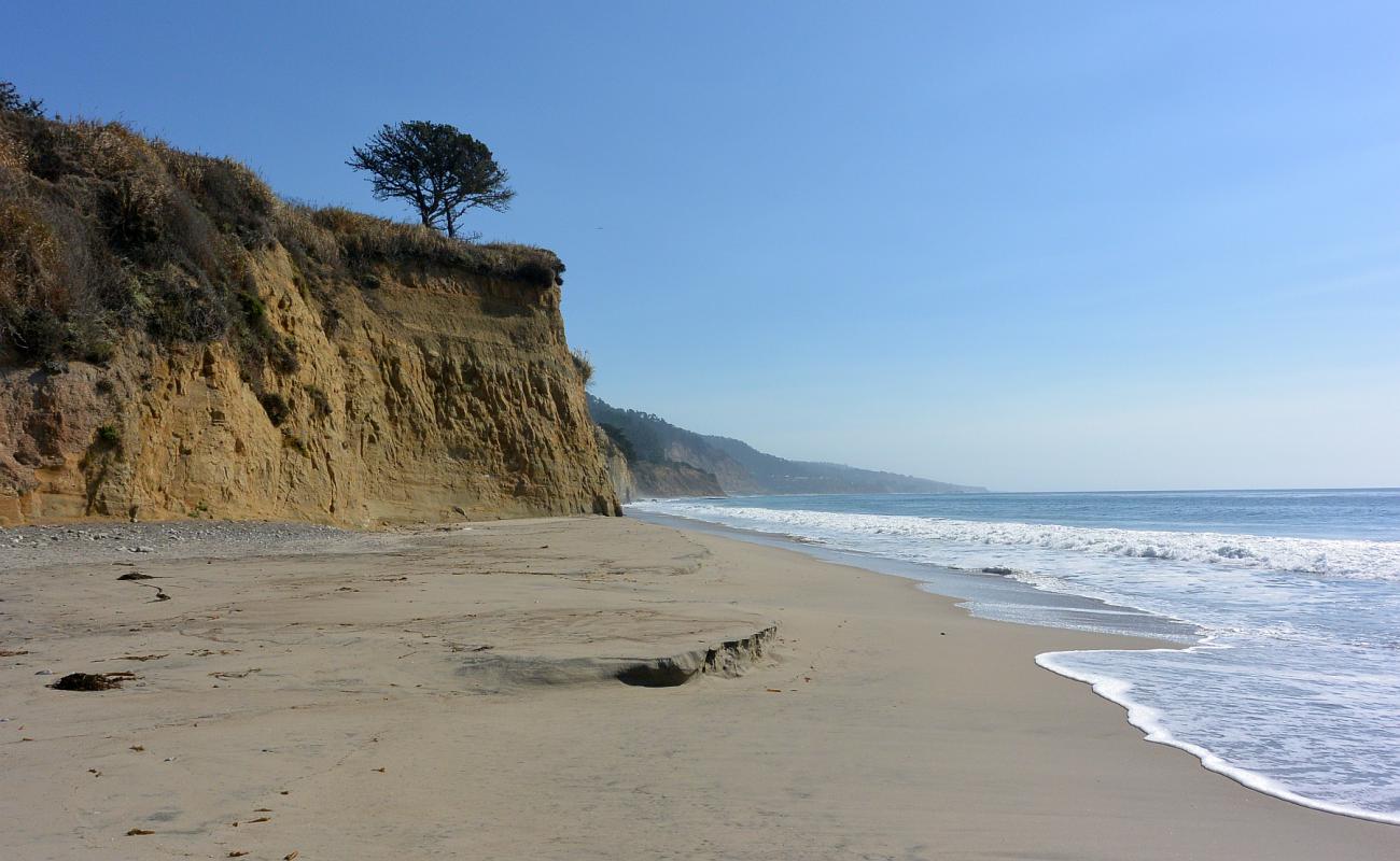 Cove Beach'in fotoğrafı parlak kum yüzey ile