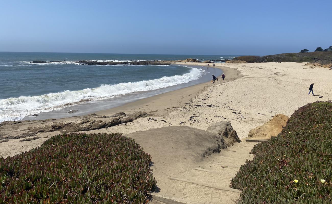 Bean Hollow Beach'in fotoğrafı parlak kum yüzey ile