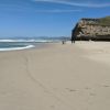 San Gregorio Beach