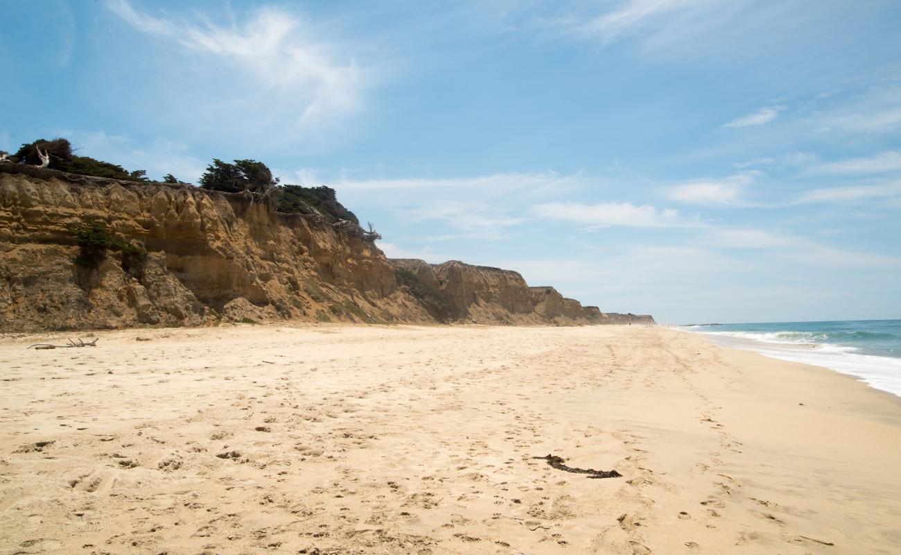 Cowell Ranch Beach'in fotoğrafı parlak kum yüzey ile