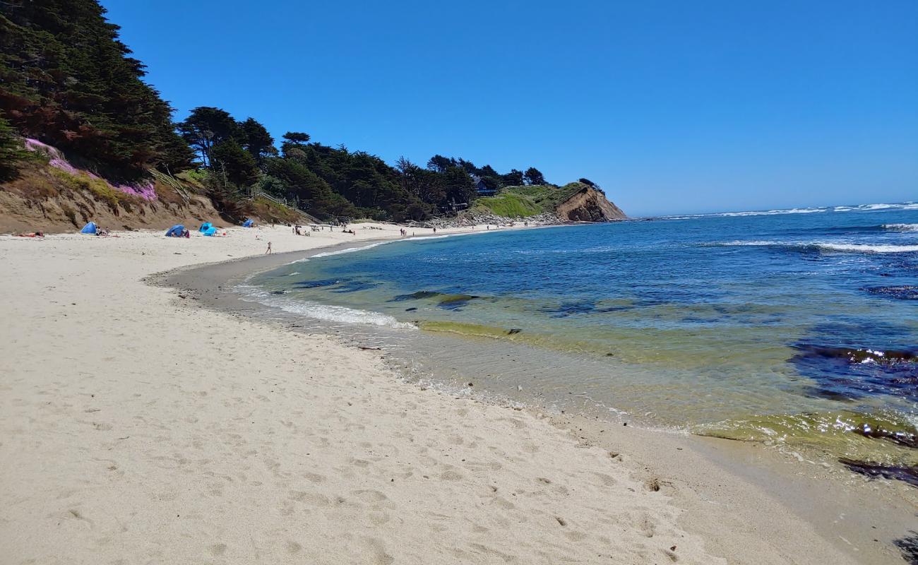 Moss Beach'in fotoğrafı açık bej kum yüzey ile