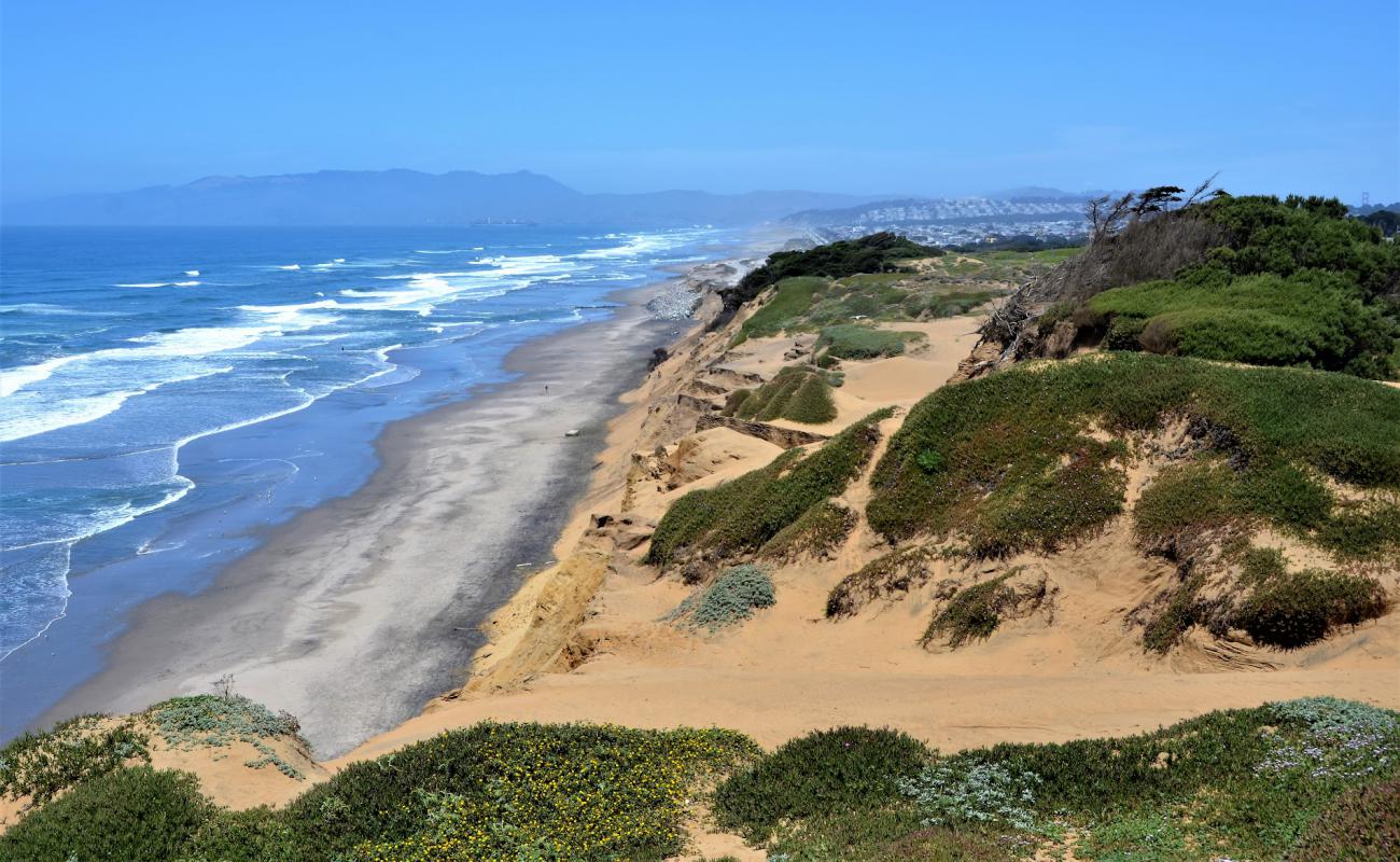 Funston Beach'in fotoğrafı açık bej kum yüzey ile