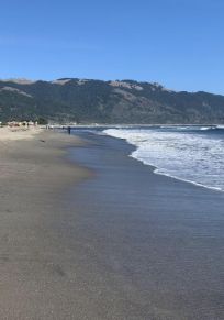 Bolinas