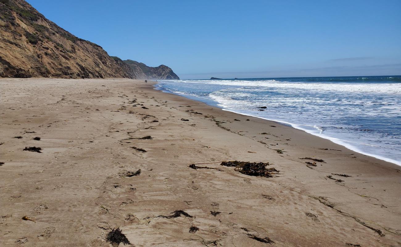 Wildcat Beach'in fotoğrafı parlak kum yüzey ile