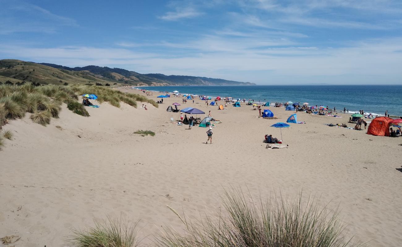 Limantour Beach'in fotoğrafı parlak kum yüzey ile