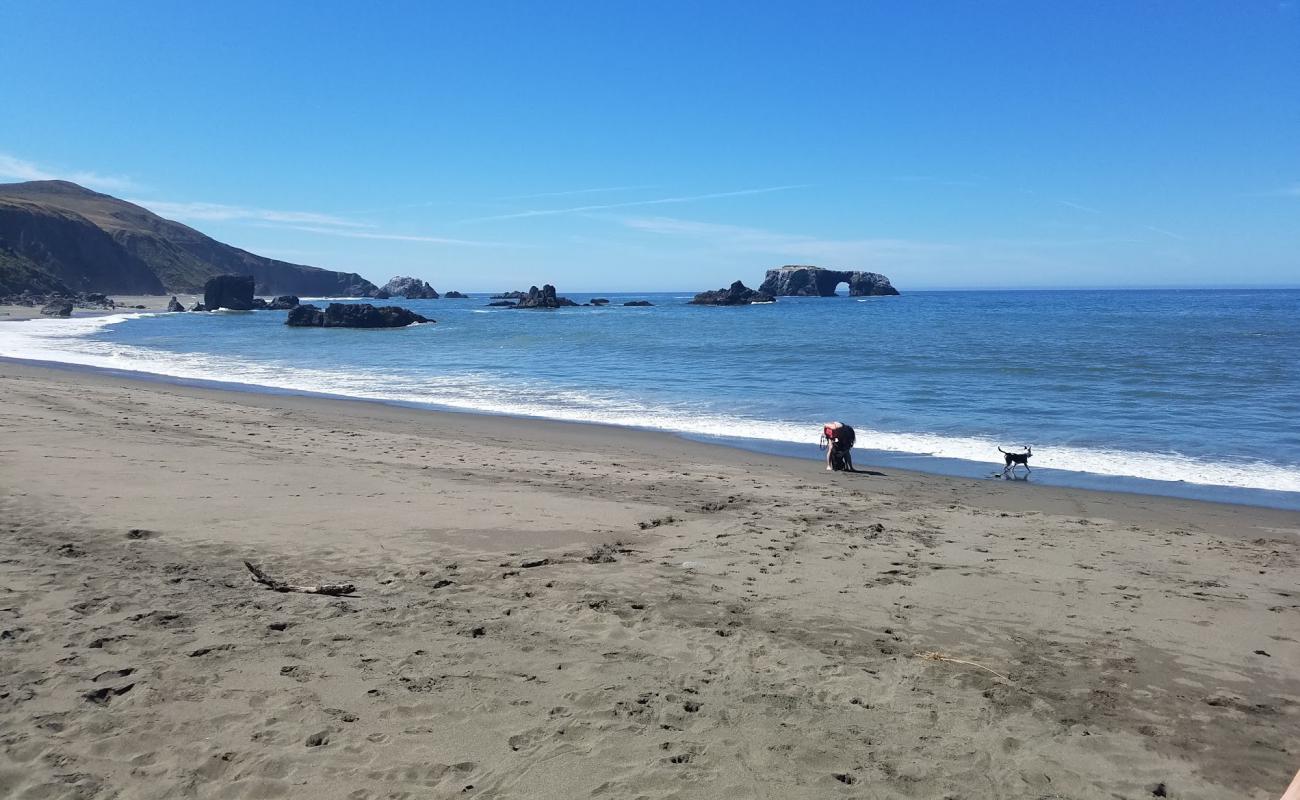 Goat Rock Beach'in fotoğrafı açık bej kum yüzey ile