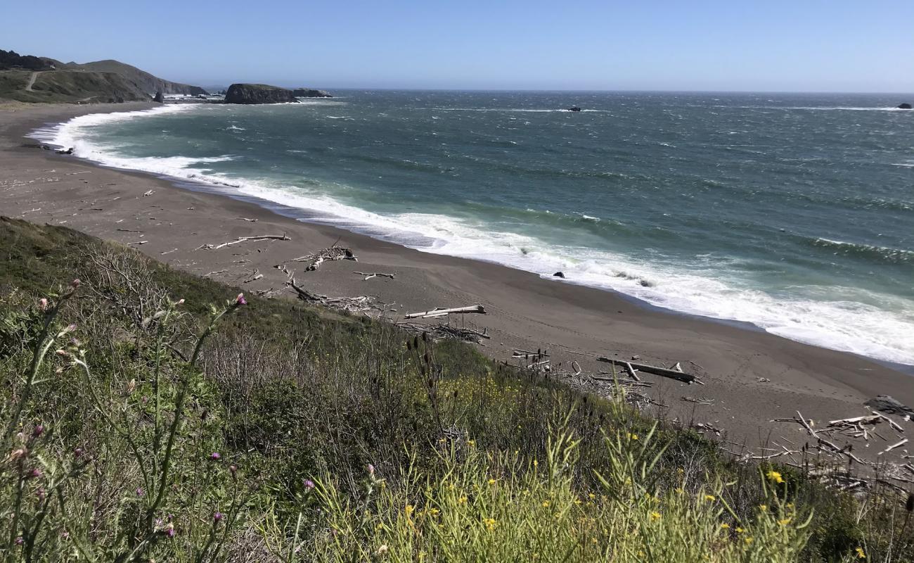 Jenner Beach'in fotoğrafı açık bej kum yüzey ile