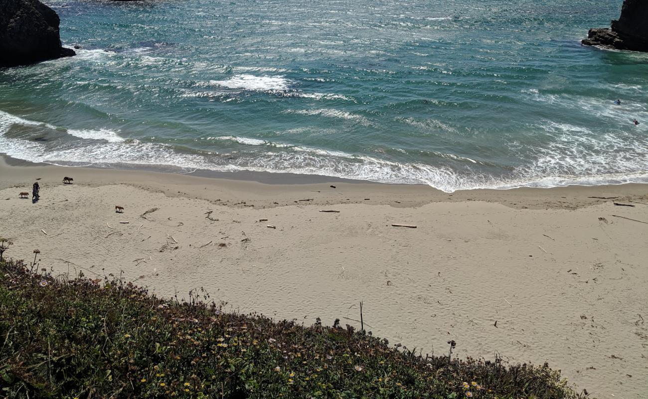 Cooks Beach'in fotoğrafı açık bej kum yüzey ile