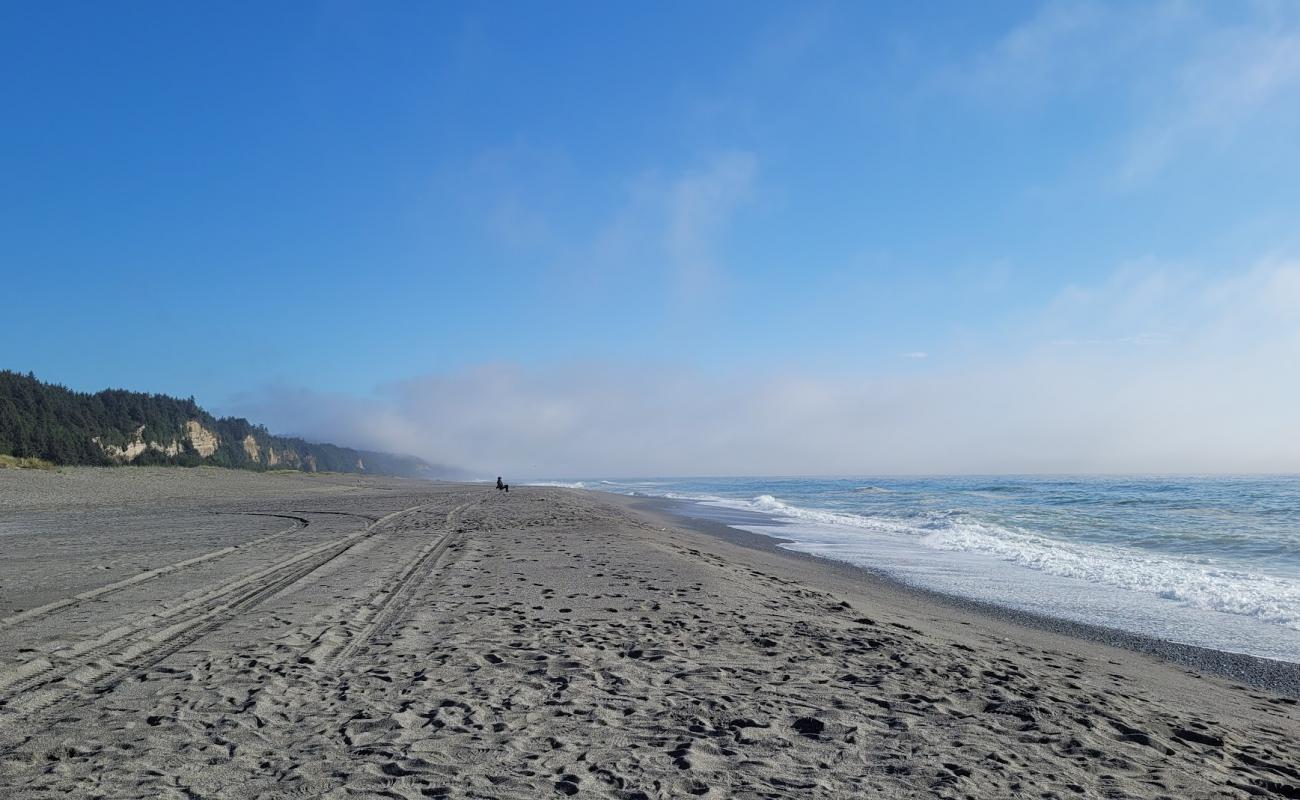 Gold Bluffs Beach'in fotoğrafı açık bej kum yüzey ile