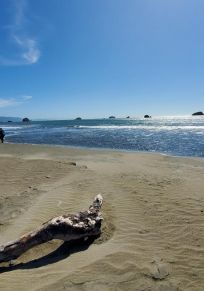 Crescent City