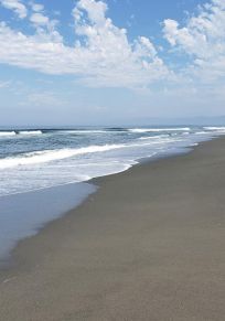 Pacific Shores