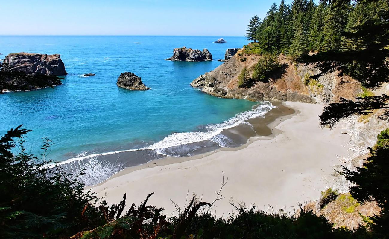 Secret Beach Oregon'in fotoğrafı gri kum yüzey ile