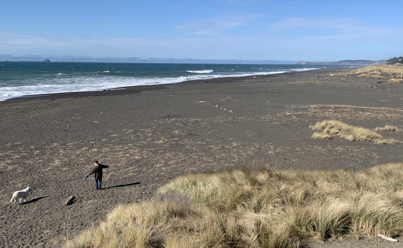Agate Beach'in fotoğrafı gri kum ve çakıllar yüzey ile