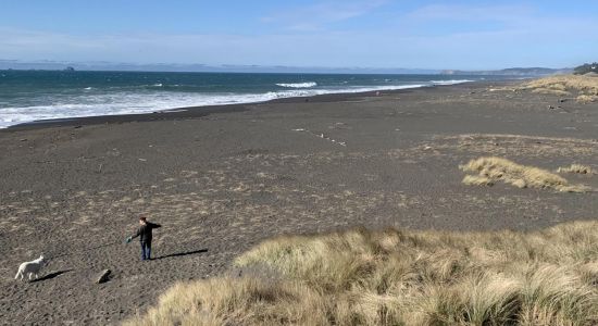 Agate Beach