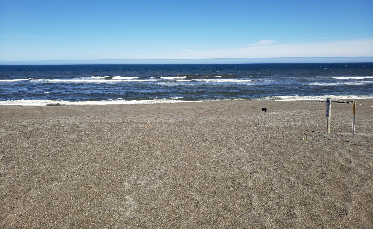 Boice-Cope Beach'in fotoğrafı gri kum yüzey ile