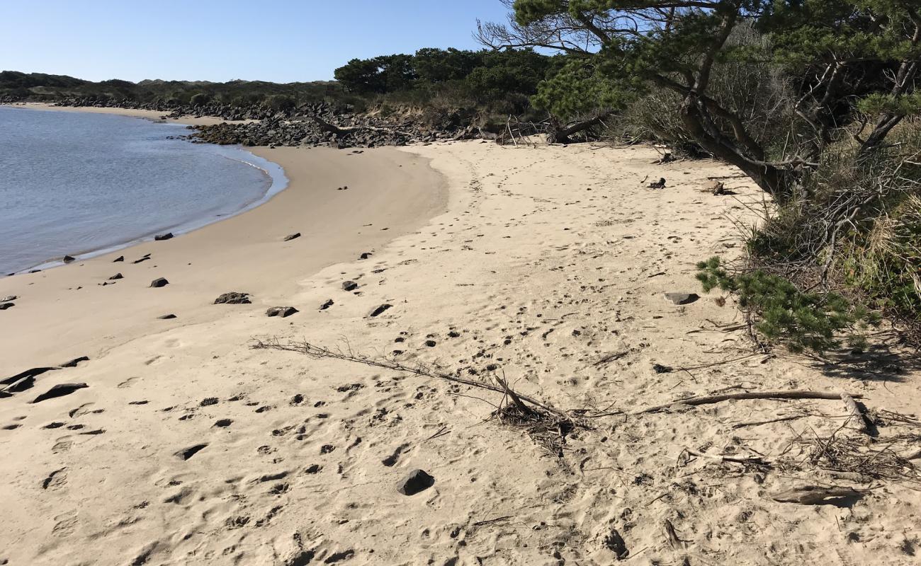 South Jetty Beach II'in fotoğrafı parlak kum ve kayalar yüzey ile