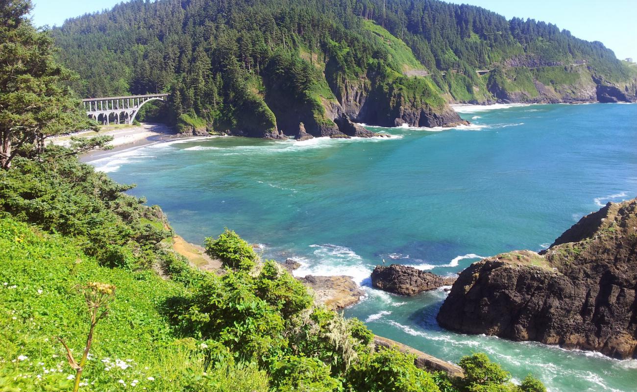 Heceta Head Beach'in fotoğrafı bej kum ve çakıl yüzey ile