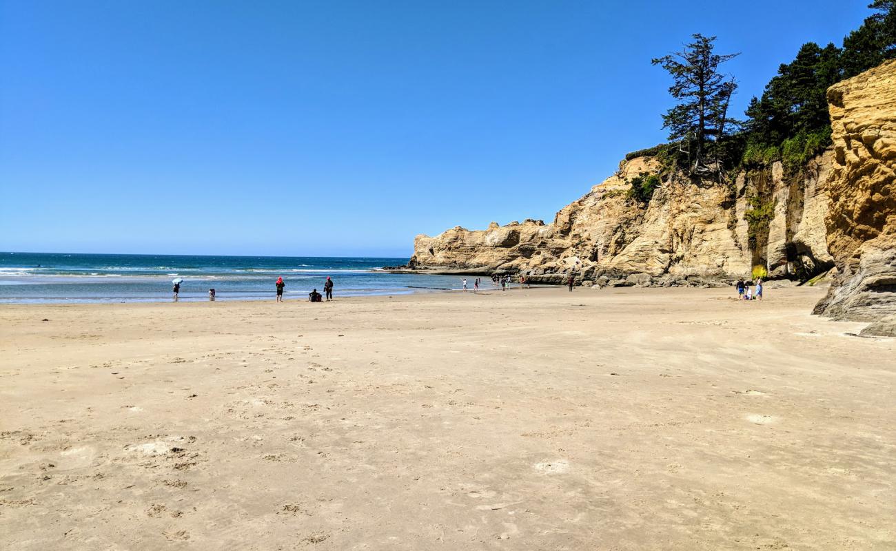 Otter Crest Beach'in fotoğrafı açık bej kum yüzey ile