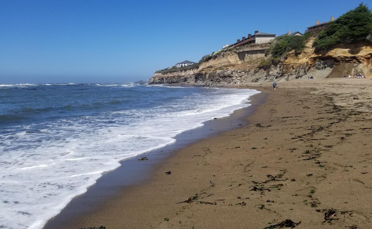 Fogarty Creek Beach'in fotoğrafı açık bej kum yüzey ile