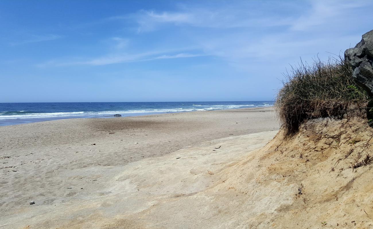 Lincoln Beach'in fotoğrafı açık bej kum yüzey ile