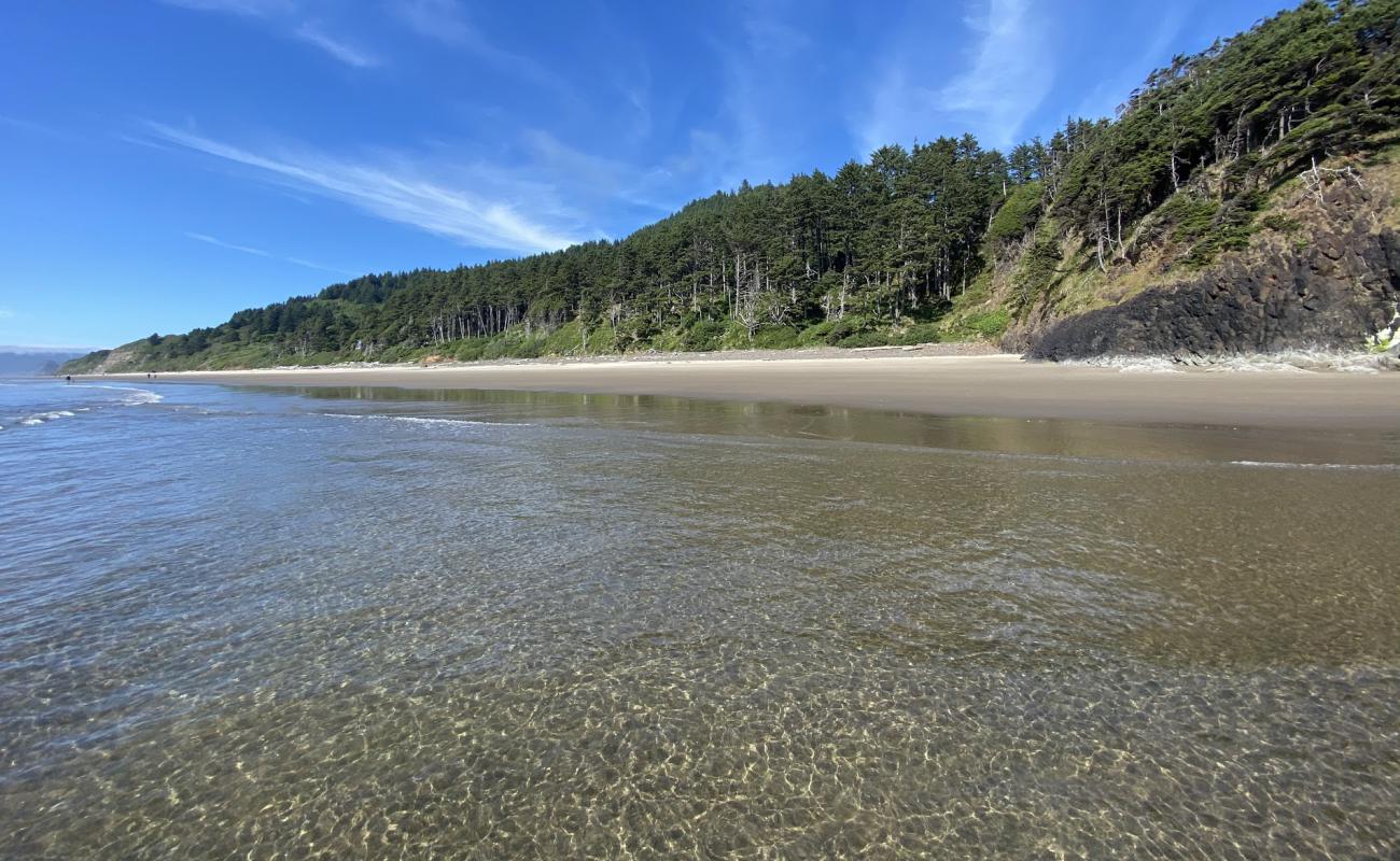 Arcadia Beach'in fotoğrafı parlak kum yüzey ile