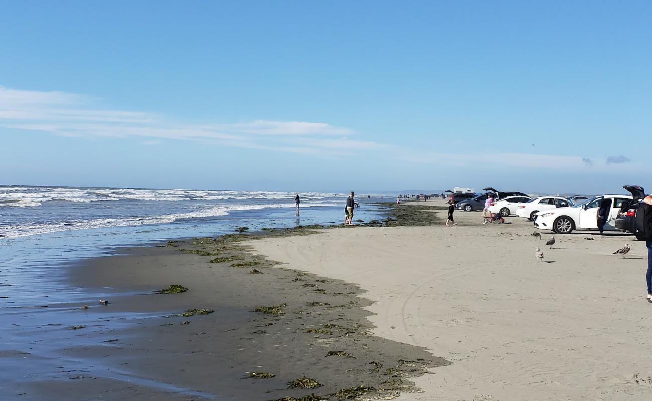 Ocean Shores Beach'in fotoğrafı parlak kum yüzey ile