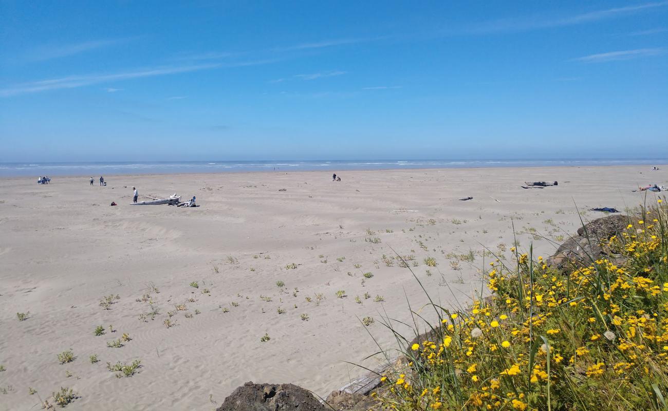 Pacific Beach'in fotoğrafı parlak kum yüzey ile