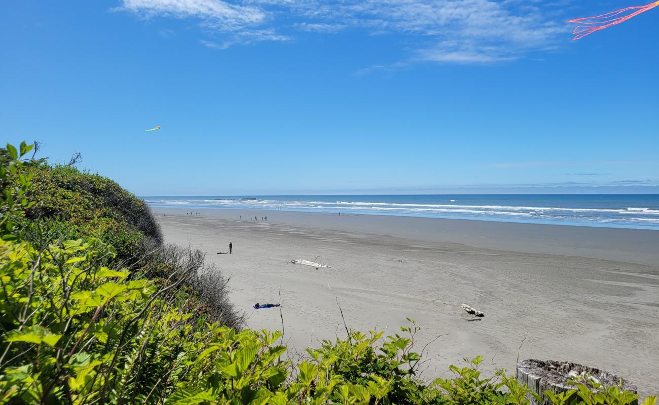 Kalaloch Beach'in fotoğrafı parlak kum yüzey ile