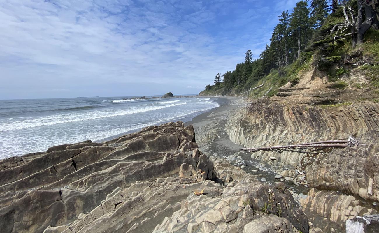 Kalaloch Beach II'in fotoğrafı taşlı kum yüzey ile