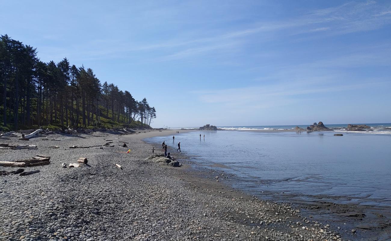 Mosquito Creek Beach'in fotoğrafı taşlı kum yüzey ile