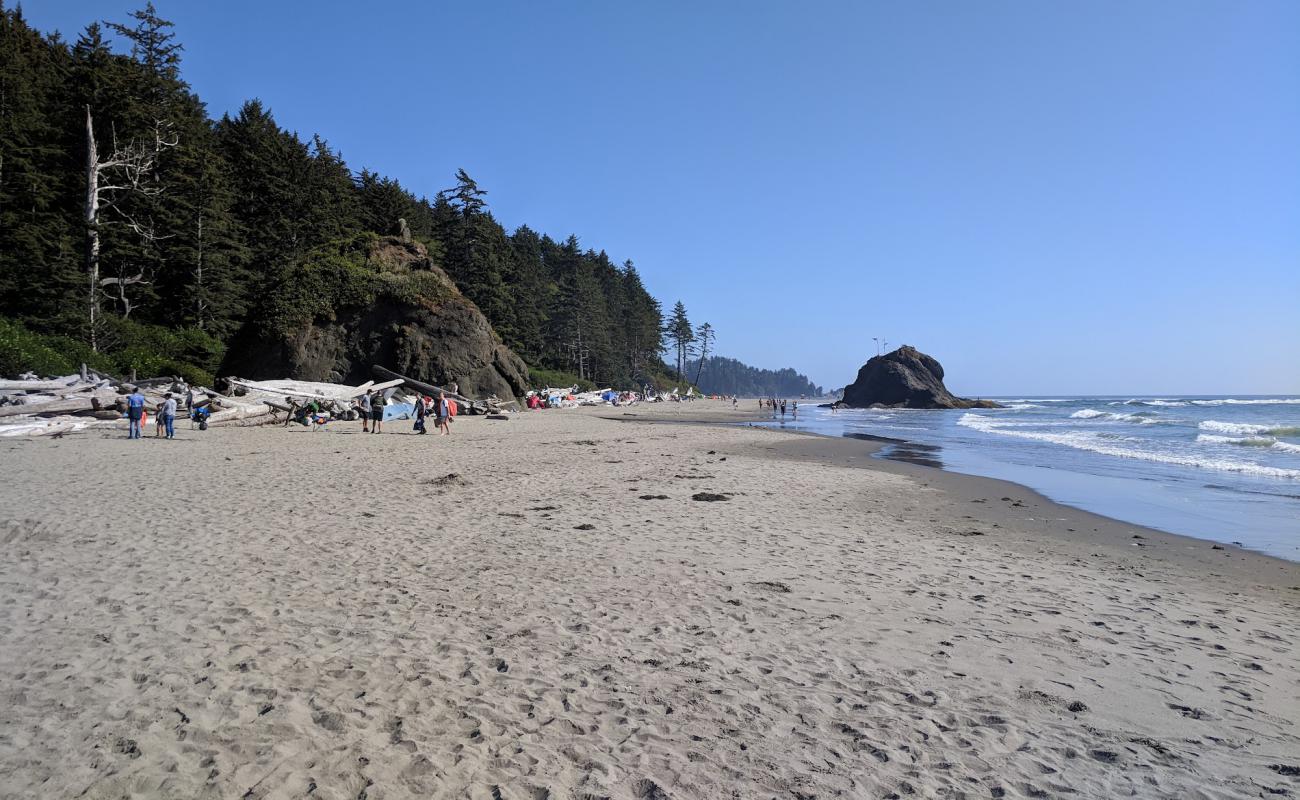 Second Beach Quileute Res.'in fotoğrafı açık bej kum yüzey ile