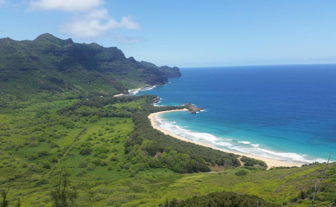 Kipu Kai Beach'in fotoğrafı parlak ince kum yüzey ile