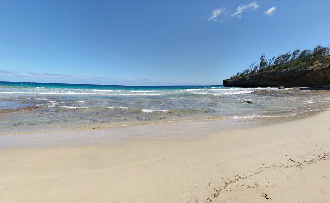 Ha'ula Beach'in fotoğrafı vahşi alan