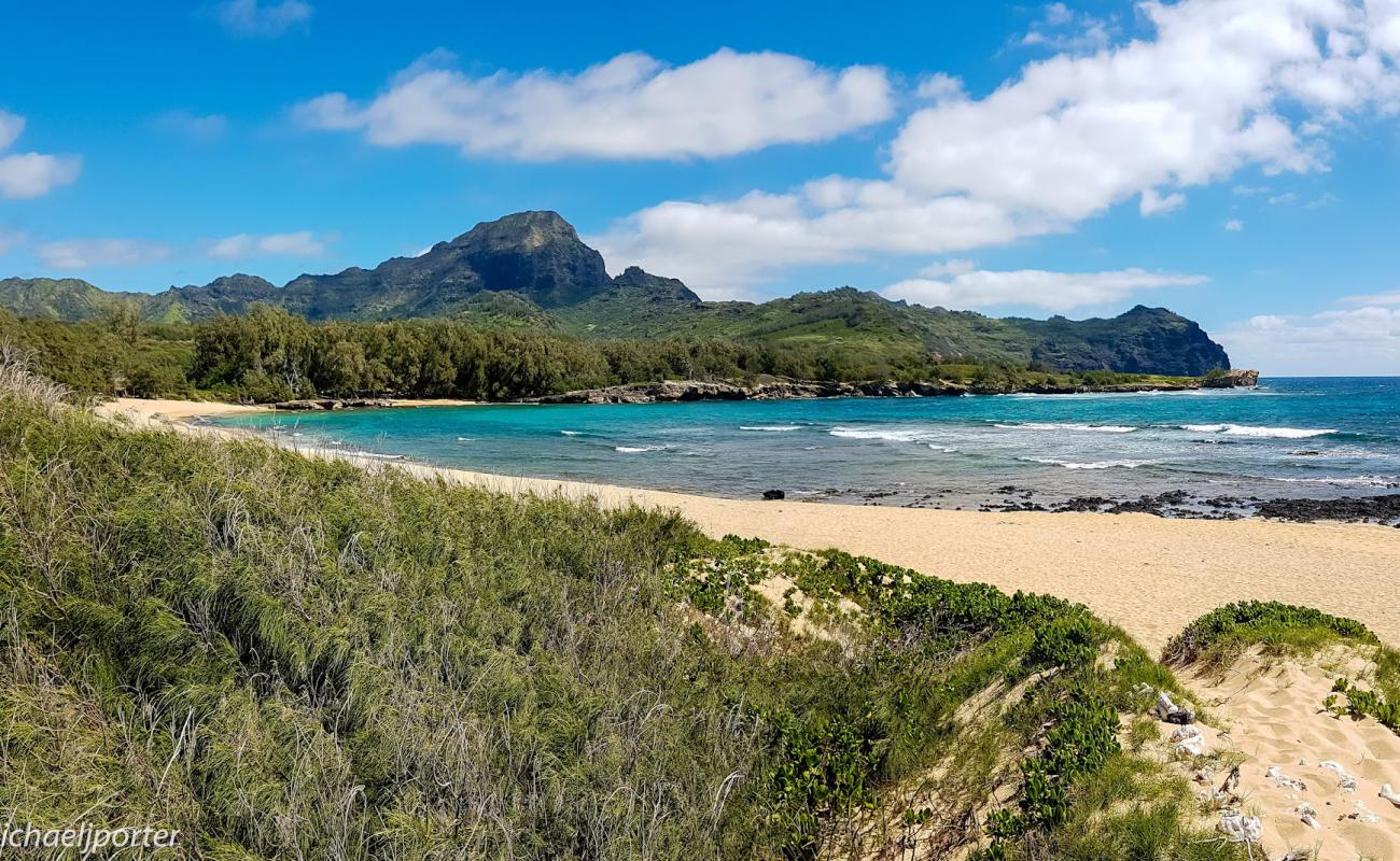 Mahaulepu Beach'in fotoğrafı gri kum yüzey ile