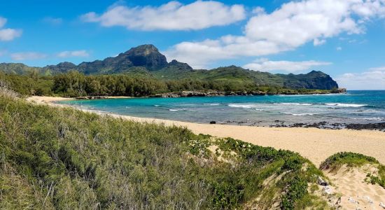 Mahaulepu Beach