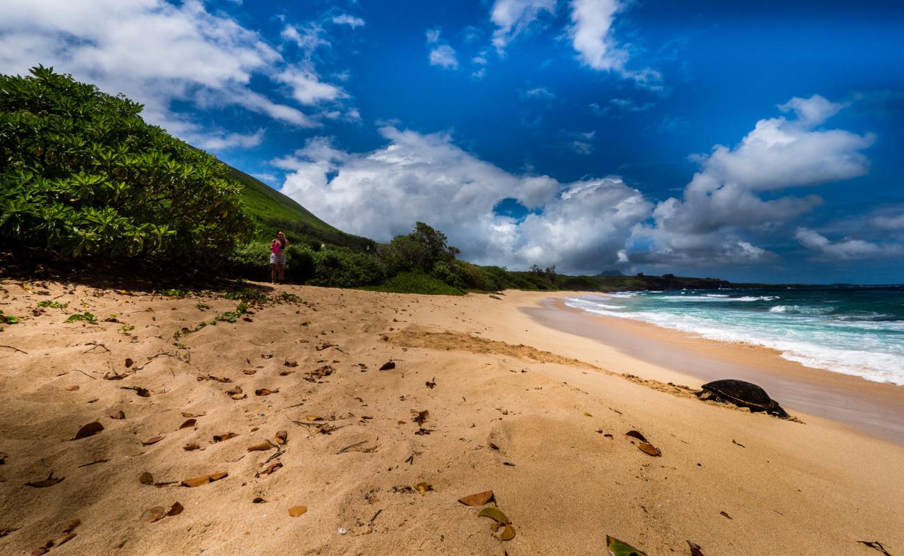 Palama Beach'in fotoğrafı i̇nce bej kum yüzey ile
