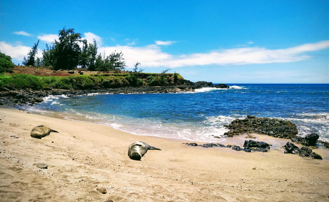 Glass Beach'in fotoğrafı bej kum ve kayalar yüzey ile