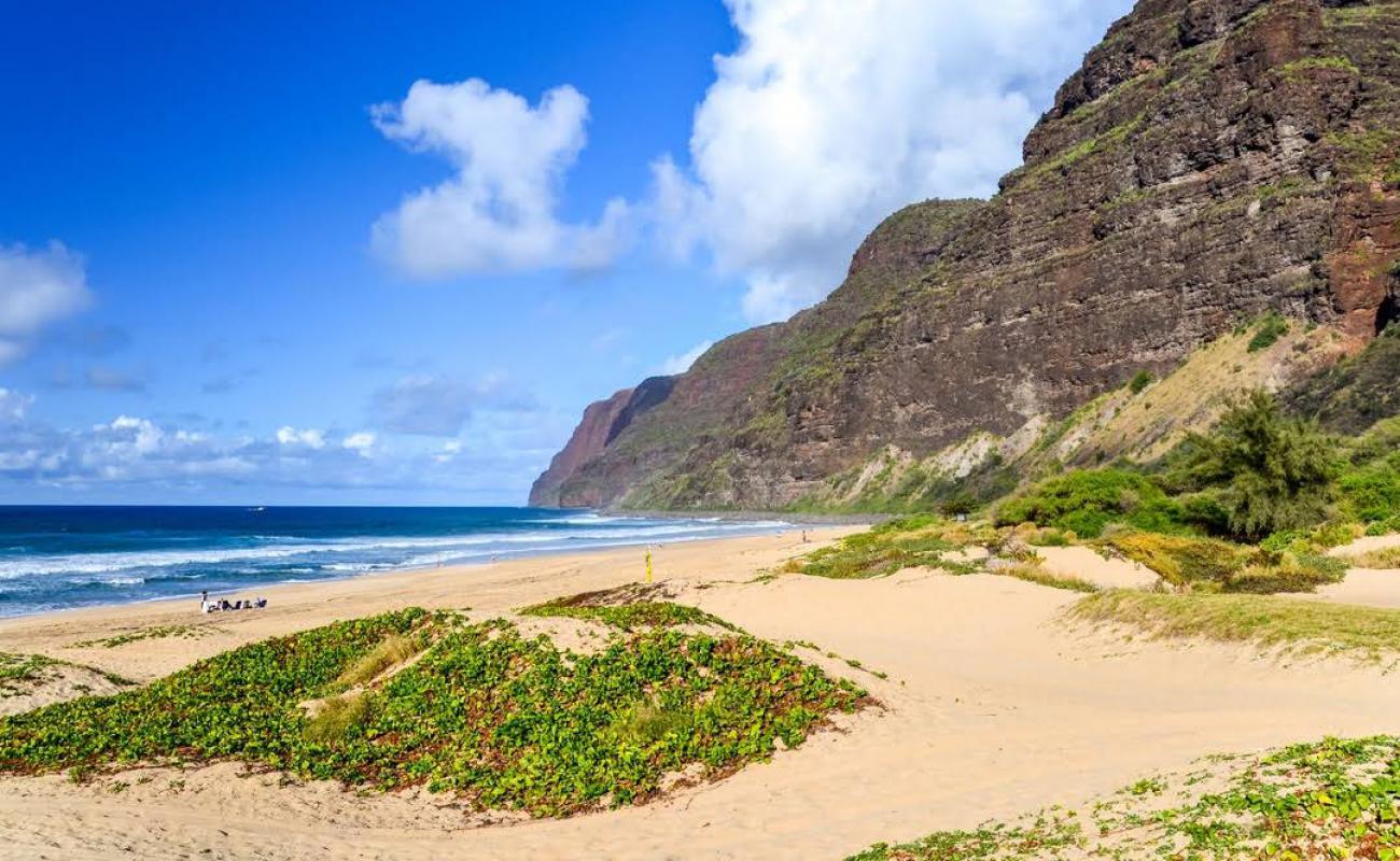 Polihale State Beach'in fotoğrafı parlak kum yüzey ile